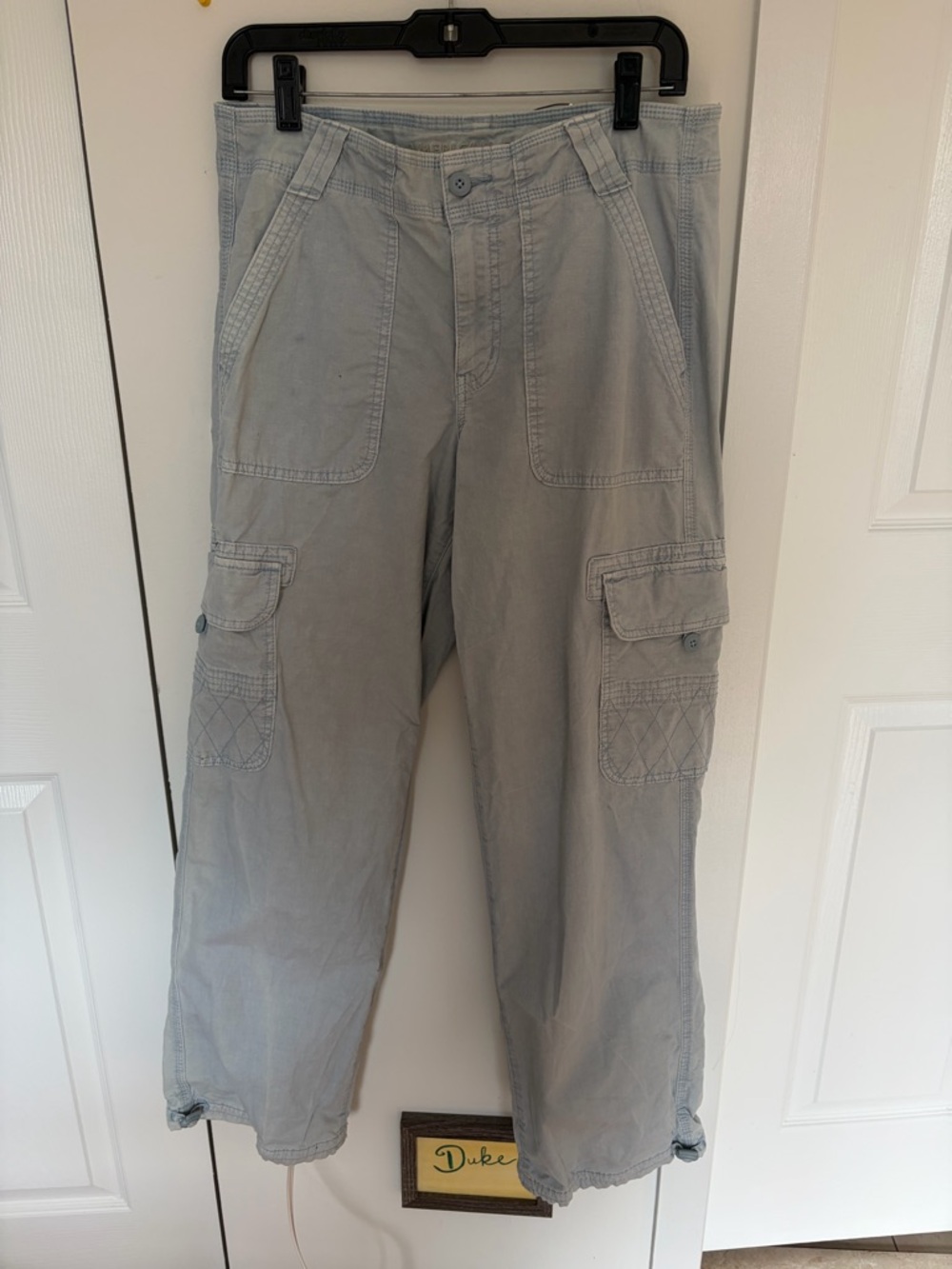 American Eagle Outfitters baby blue Cargo Pants